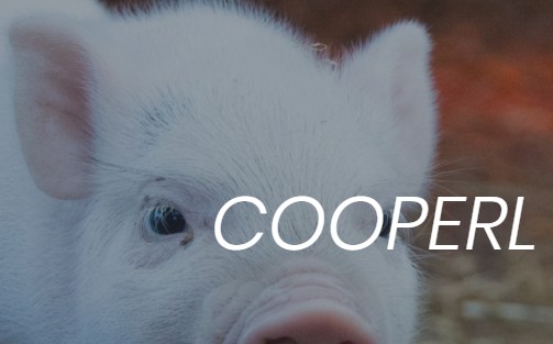 Illustration de réalisation