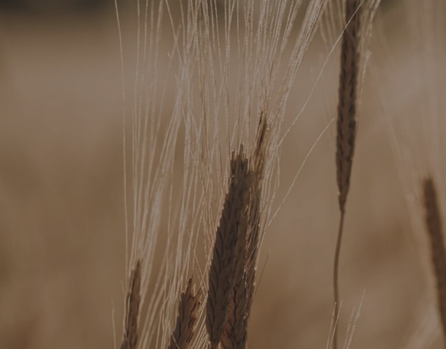 Illustration de réalisation